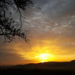 Техническое обслуживание холодильного оборудования в Москве и Московской области