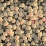 Электроснабжение Москвы и услуги лаборатории по диагностике электросетей