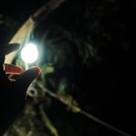 Услуги электролаборатории в Котельниках