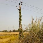 Техническое обслуживание и диагностика газового оборудования