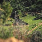 Услуги электролаборатории в Москве